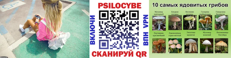 Псилоцибиновые грибы прущие грибы  дарнет шоп  Анжеро-Судженск 
