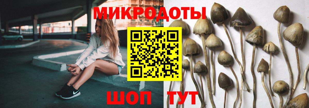 Галлюциногенные грибы GOLDEN TEACHER Анжеро-Судженск